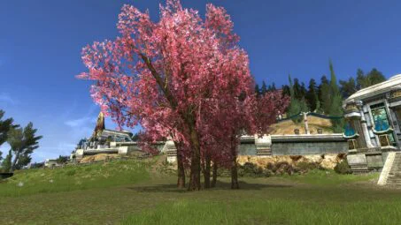 Small Grove of Flowering Spring Trees