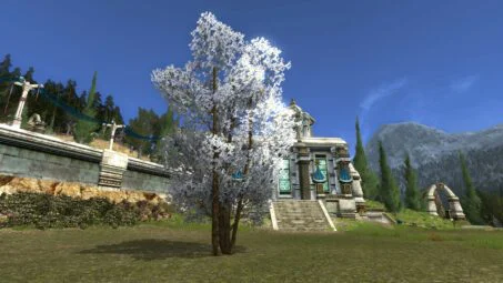 White Flowering Spring Tree