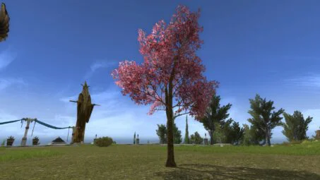 Flowering Spring Tree