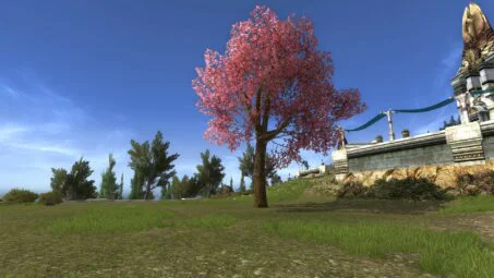 Large Flowering Spring Tree