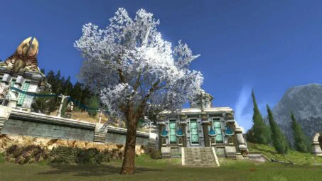 Large White Flowering Spring Tree