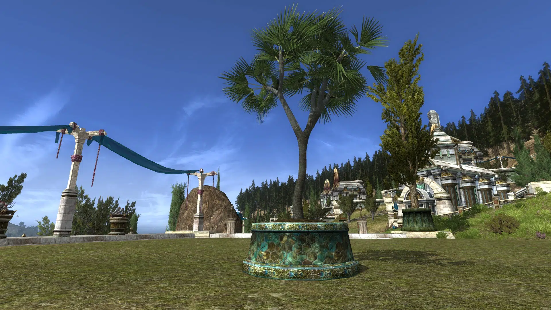 Skinny Potted Doum Palm