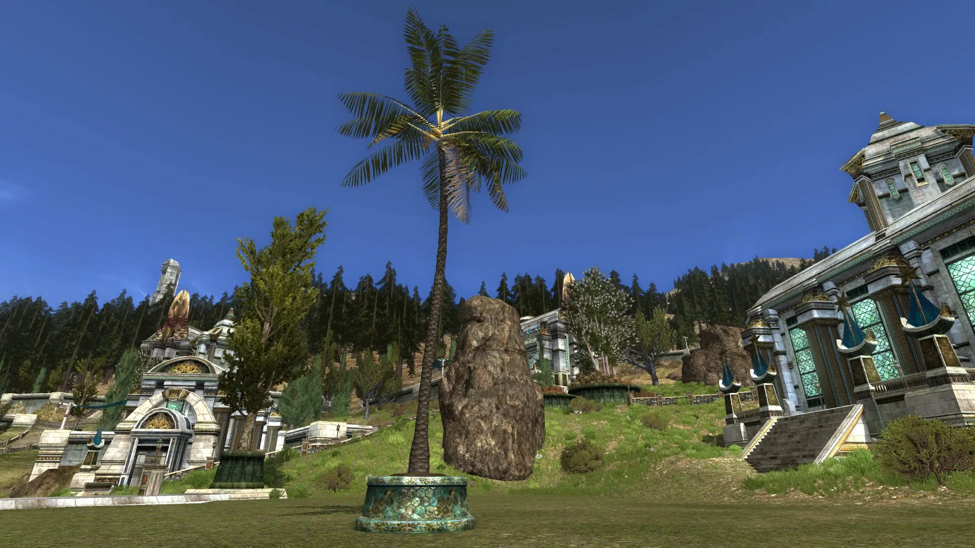 Tall Potted Umbari Palm