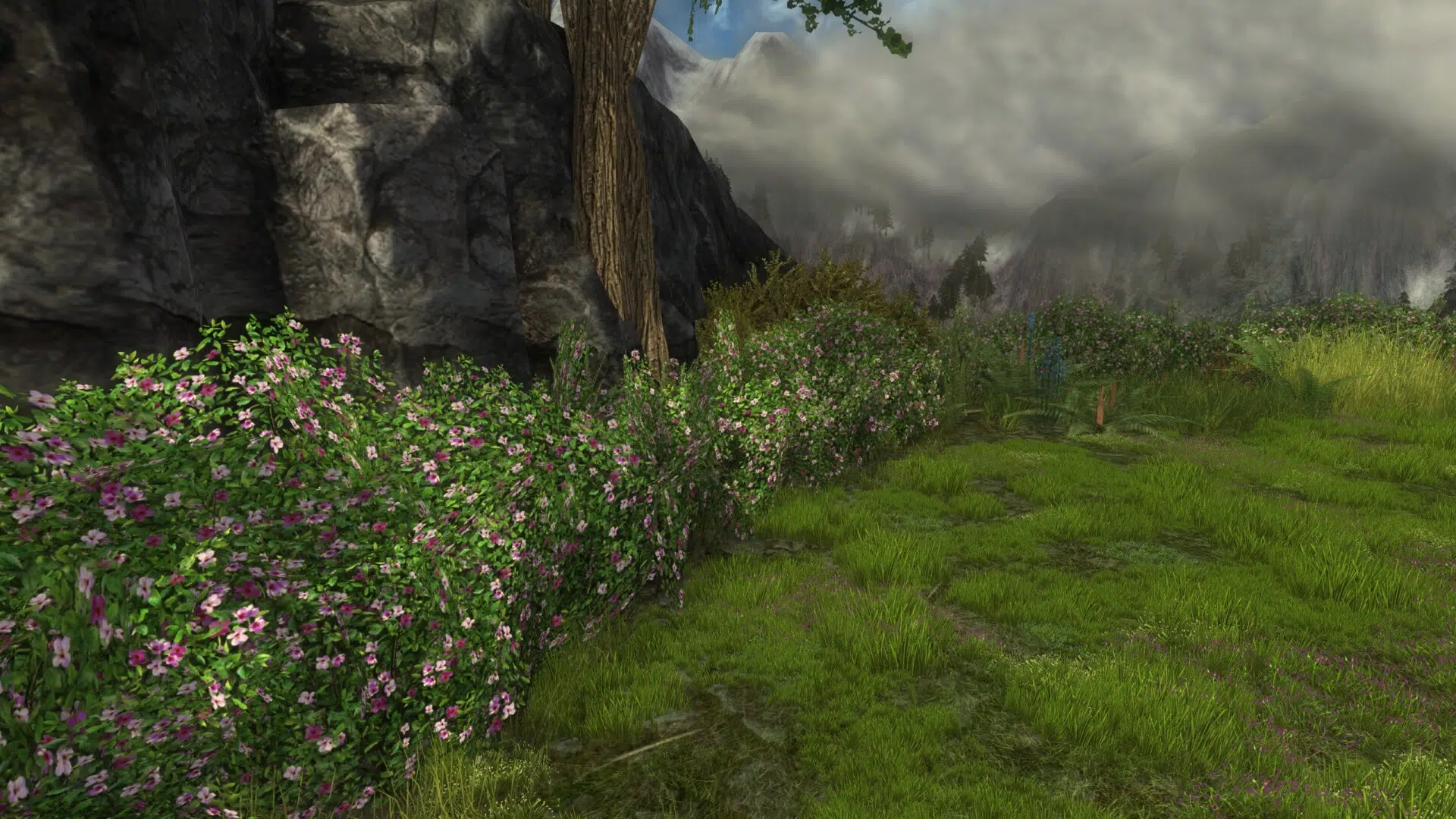 Purple Flowering Hedge