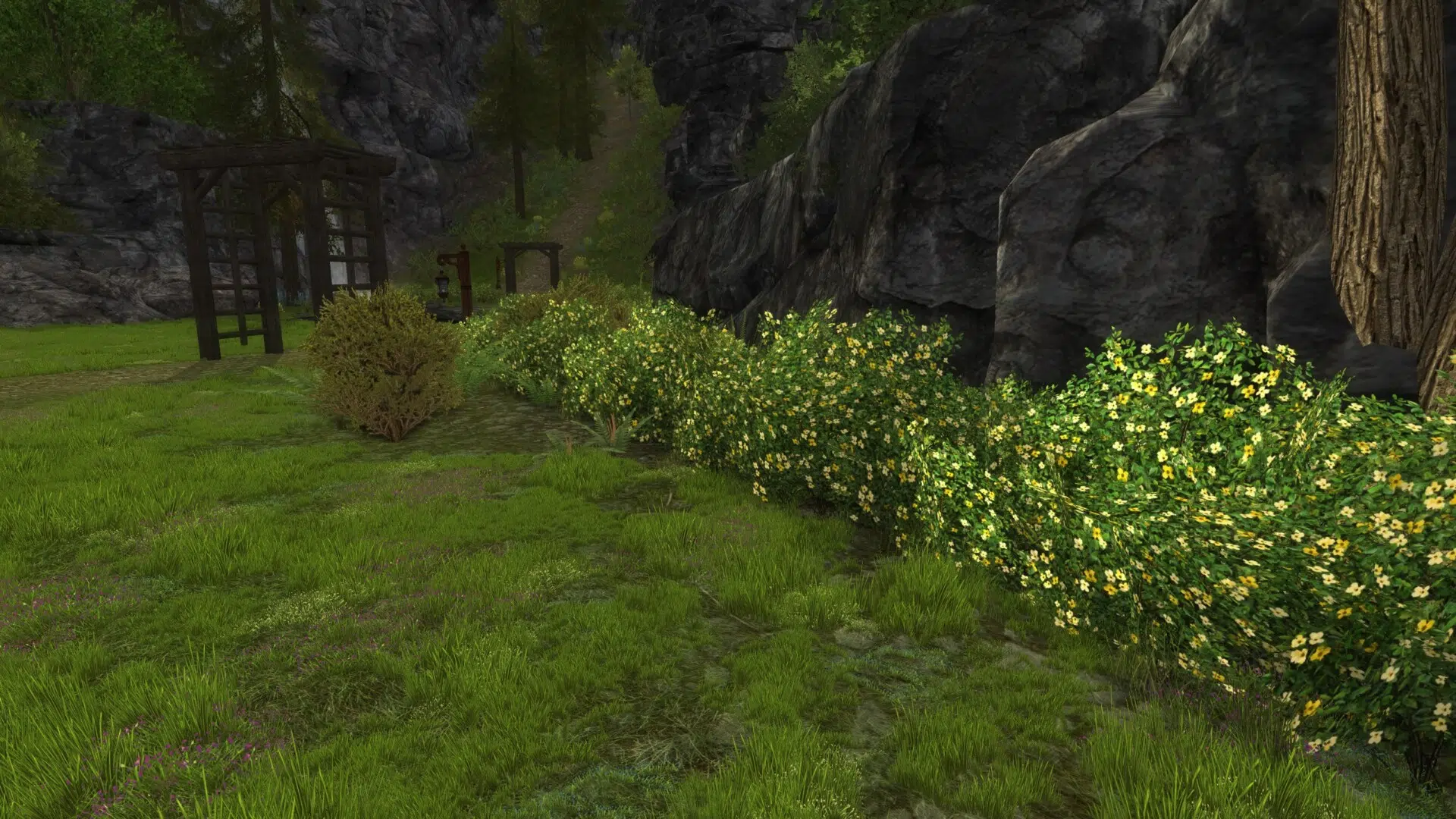 Yellow Flowering Hedge