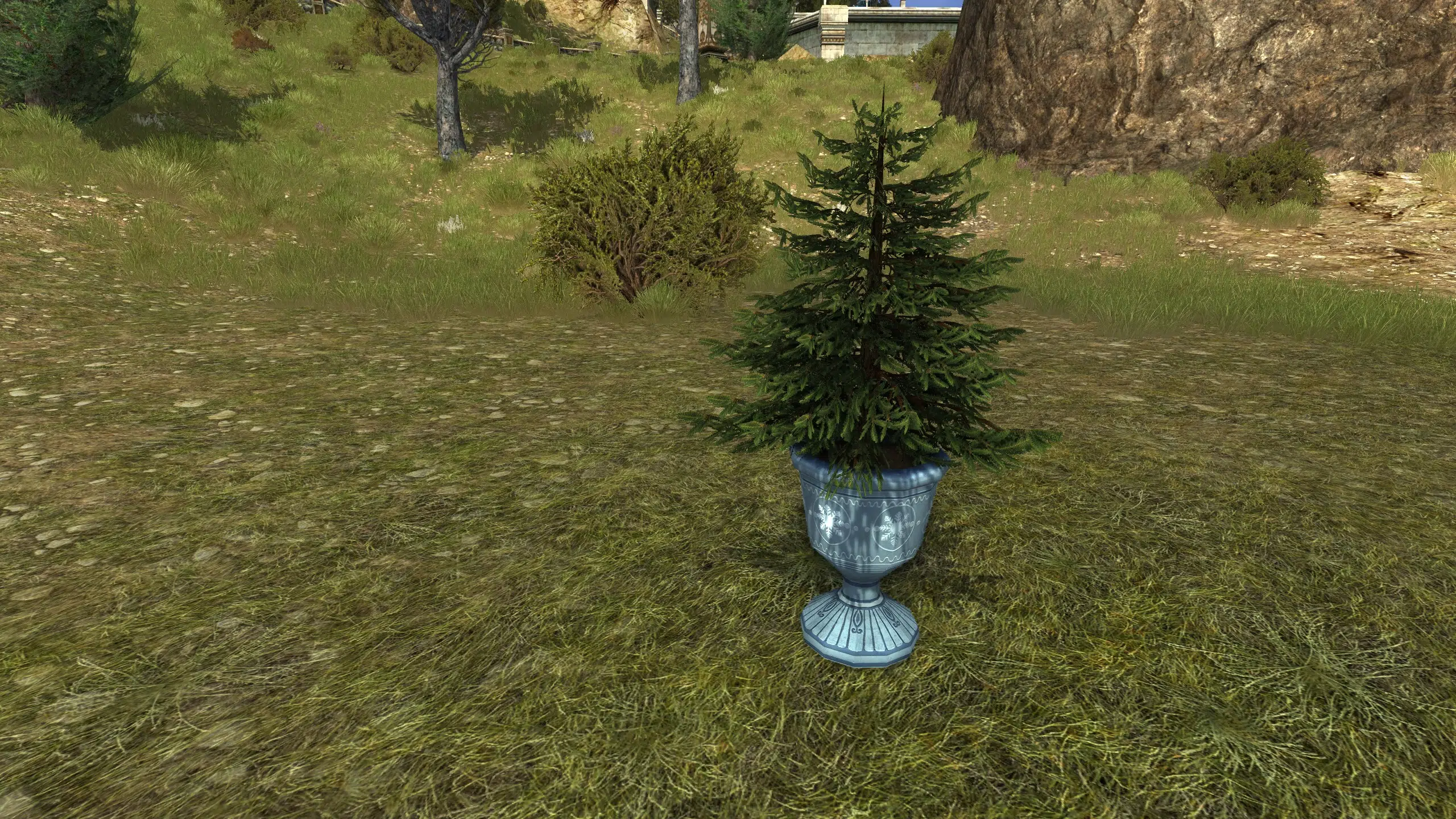 Cozy Potted Tree