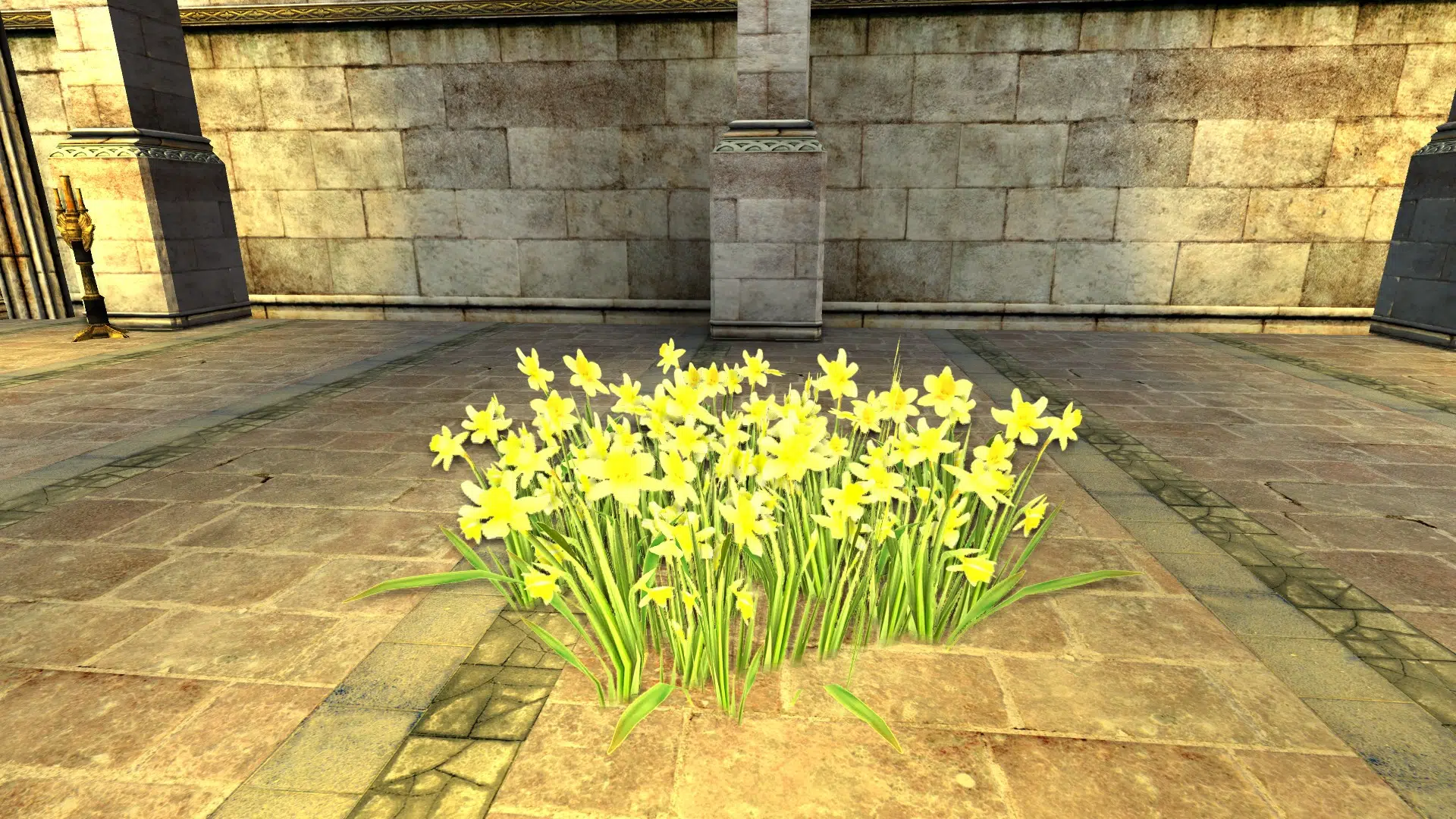 Cluster of Daffodils